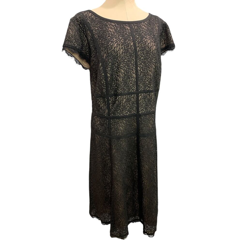 Size 20 Adrianna Papell  Black Lace Nude Lined A-Line Dress